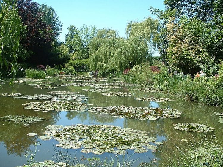 Giverny_nympheas